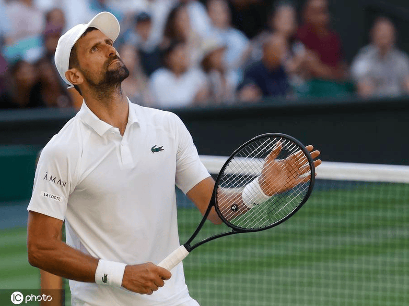 Kaiyun-德约科维奇连续十五场比赛得分超过逆转，雄鹿挑战极限！的简单介绍